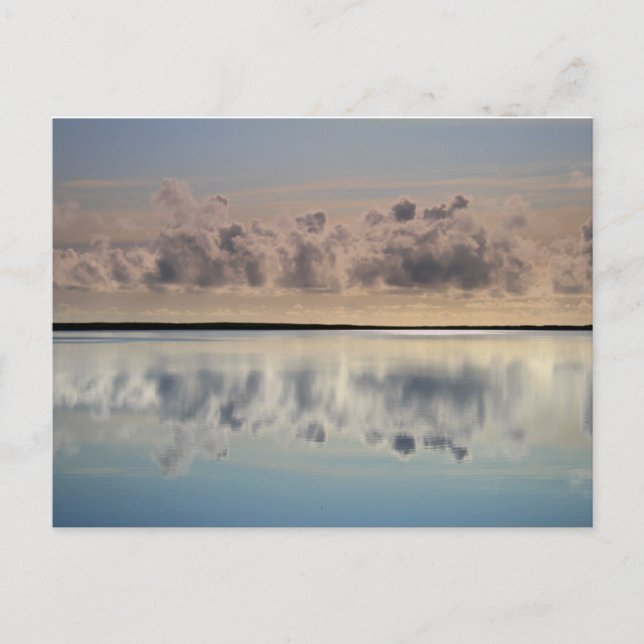 Postal abejorro (Anverso)