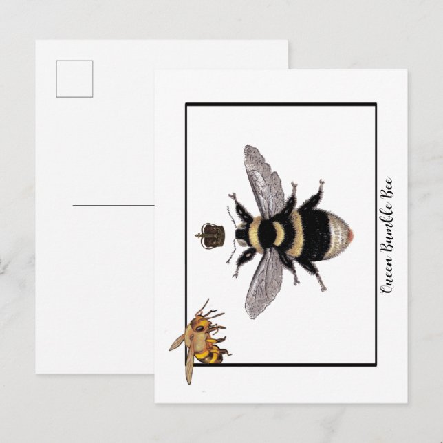 Postal Abejorro Reina (Anverso / Reverso)