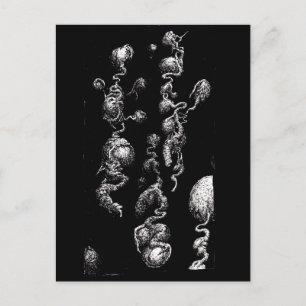 Postal Aberraciones orgánicas flotantes