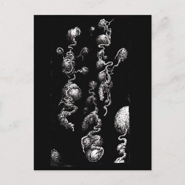 Postal Aberraciones orgánicas flotantes (Anverso)