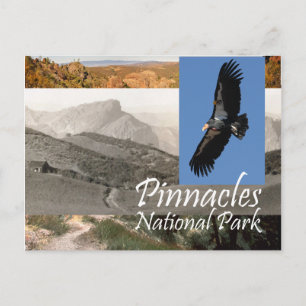 Postal ABH Pinnacles NP