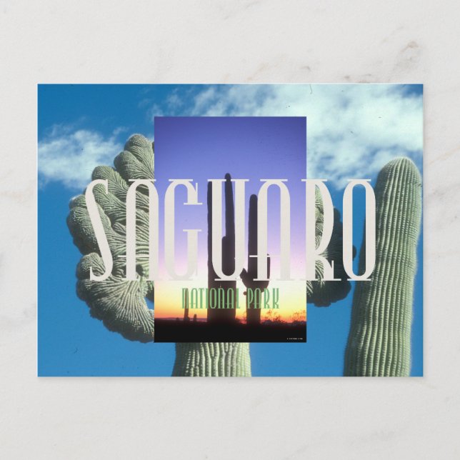 Postal ABH Saguaro (Anverso)