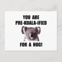 Abrazo calificado de Pre Koala