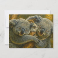 Abrazo Koala - Momento de vida silvestre tender