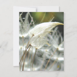 Postal Abrazo romántico Dandelion Seed