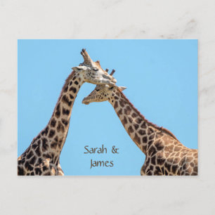 Postal Abrazos de jirafa románticos personalizados