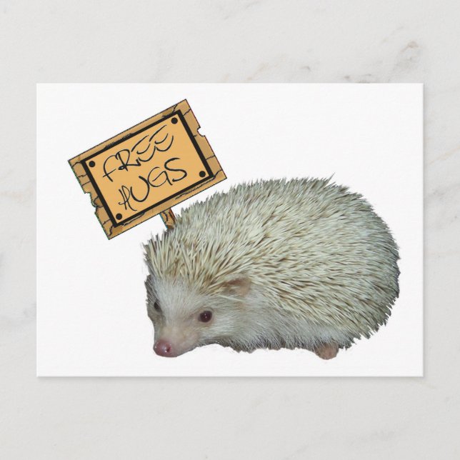 Postal Abrazos gratis Hedgehog (Anverso)