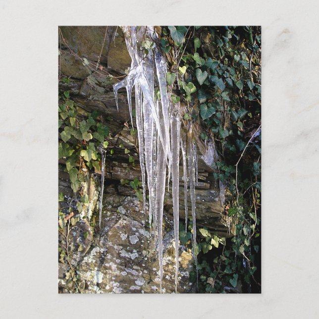 Postal Abril por la mañana (Anverso)