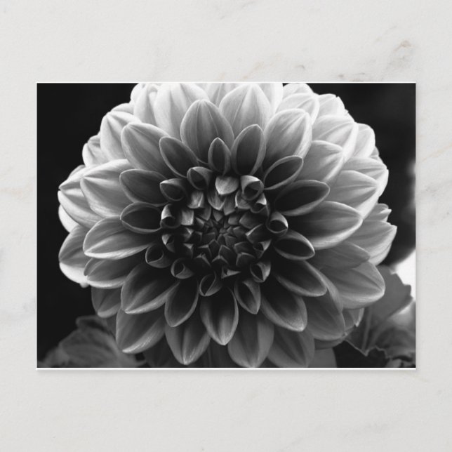 Postal Abrir todas las capas (Anverso)