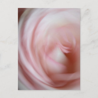Postal Abstract Pink Rose