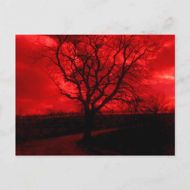 Postal Abstracto de árbol baldío (Anverso)