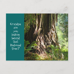 Postal ¿Abuelo, te estás escondiendo detrás de ese árbol
