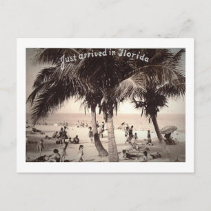 Postal ¡Acabo de llegar a Florida! Vintage