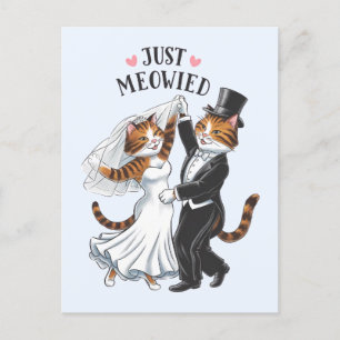 Postal Acabo de Meowie Parejas Casadas Boda gracioso gato