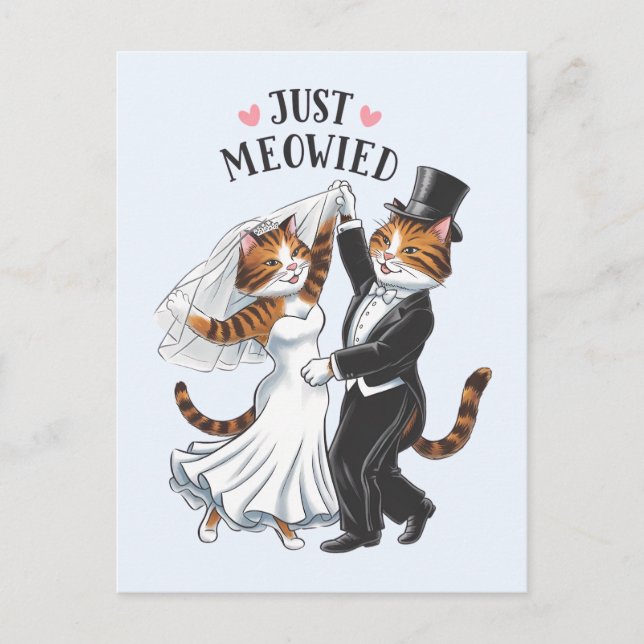 Postal Acabo de Meowie Parejas Casadas Boda gracioso gato (Anverso)
