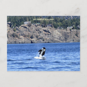 Postal ¡Acabo De Salir Para Saludar!