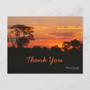 Postal Acacia Sunset Gracias Postcard