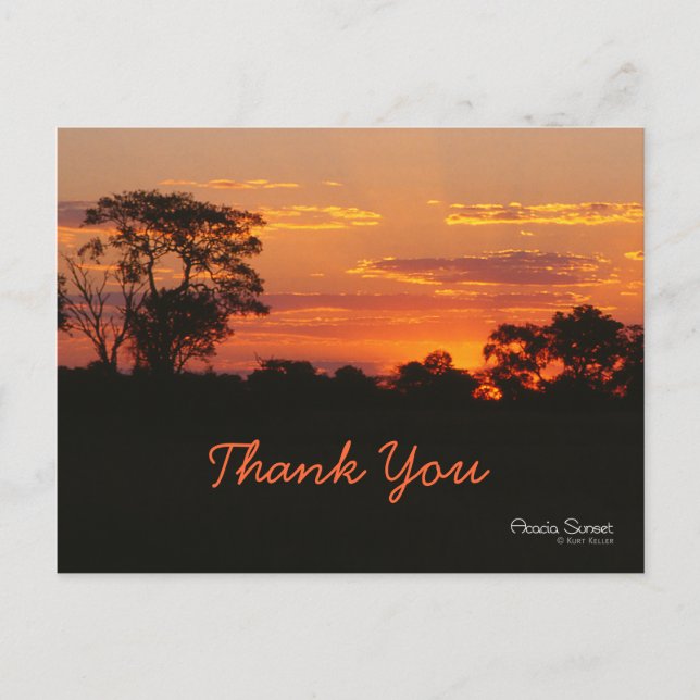 Postal Acacia Sunset Gracias Postcard (Anverso)