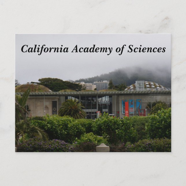 Postal Academia de Ciencias de California #2 Postcard (Anverso)