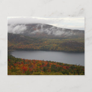 Postal Acadia Fall Trees