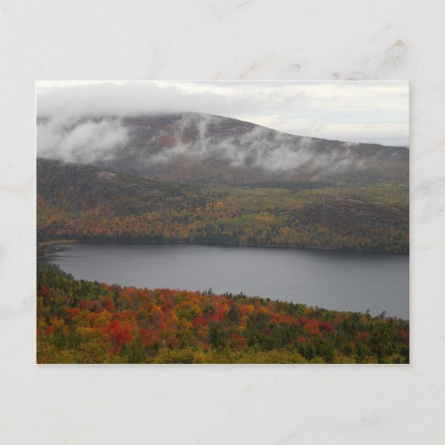 Postal Acadia Fall Trees (Anverso)