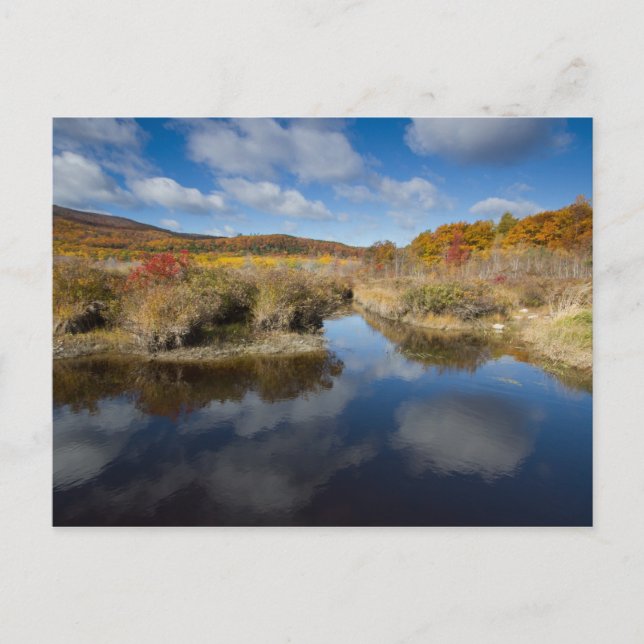 Postal Acadia NP: colores otoñales, reflexiones (Anverso)