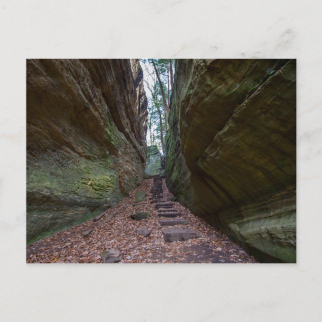 Postal Acantilados Cantwell, Parque Estatal Hocking Hills (Anverso)