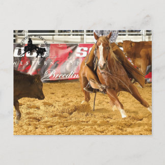 Postal Accessoires Cabernet CHA Carte Postale 5