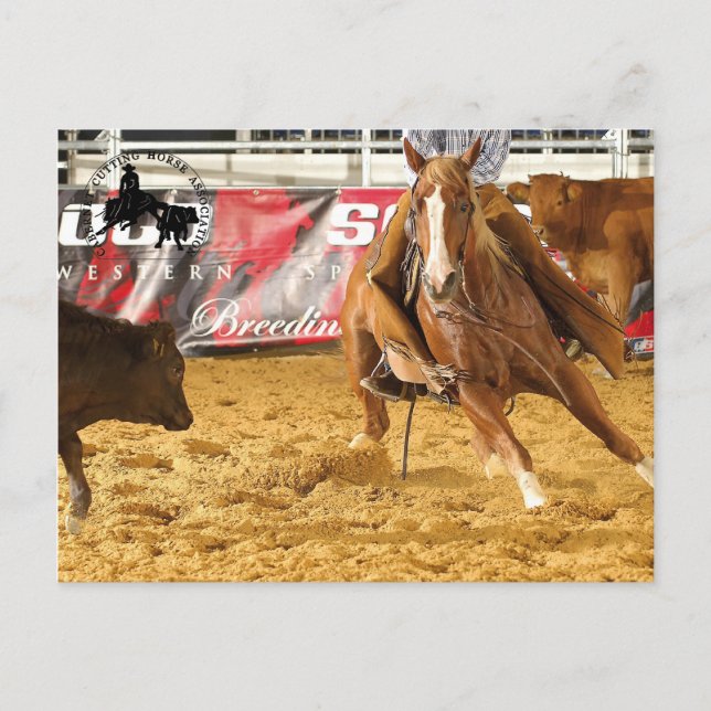 Postal Accessoires Cabernet CHA Carte Postale 5 (Anverso)