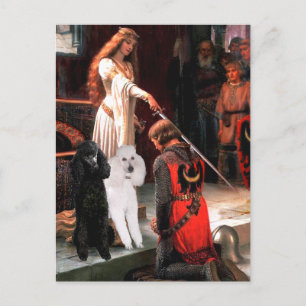 Postal Accolade - Poodle (DOS Estándar)