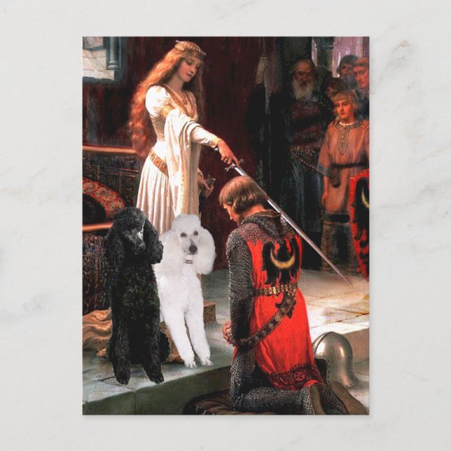 Postal Accolade - Poodle (DOS Estándar) (Anverso)