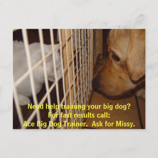 Postal Ace Big Dog Trainer