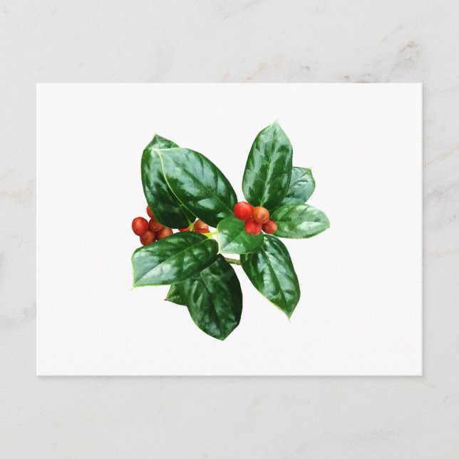 Postal Acebo Con Bayas (Anverso)