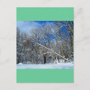 Postal Aceite de Blizzard Trees