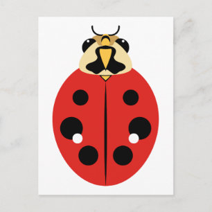 Postal Aceite de Ladybug Rojo