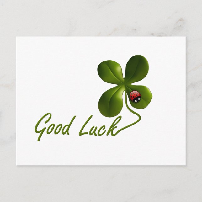 Postal Aceite De Punto De Bicho Ladybug Oficina Personali (Anverso)