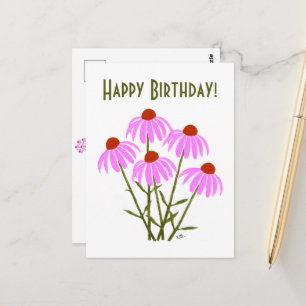 Postal Acentos de Centaurea