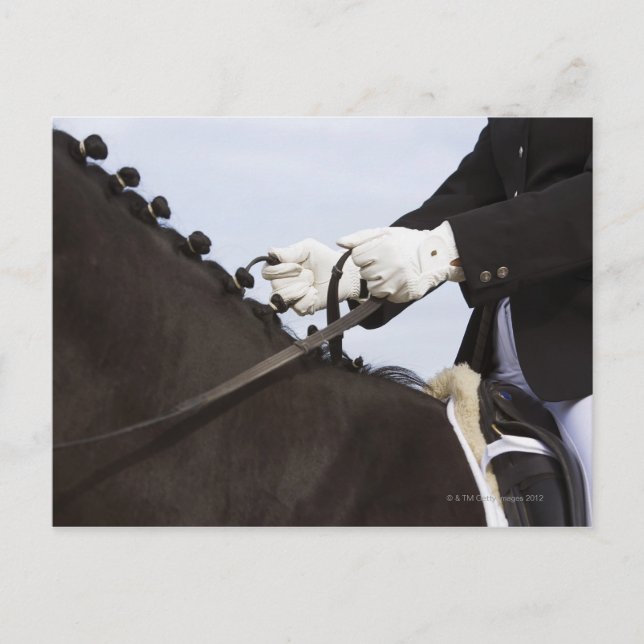 Postal acercamiento del caballo de doma con jinete (Anverso)
