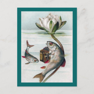 Postal Acordeón de pescado y lirio de agua