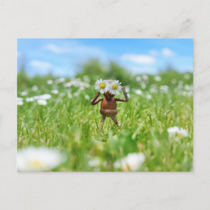 Postal Acorn elf en la pradera con maricas - divertido
