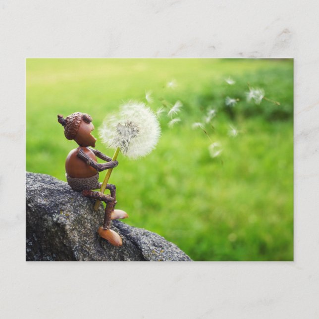 Postal Acorn elf sopla en dandelion (Anverso)