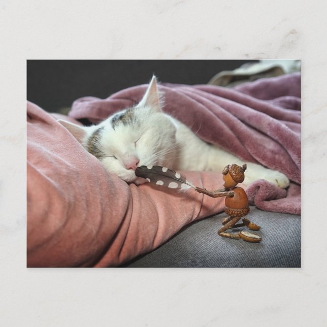 Postal Acorn elf teasing cat (Anverso)