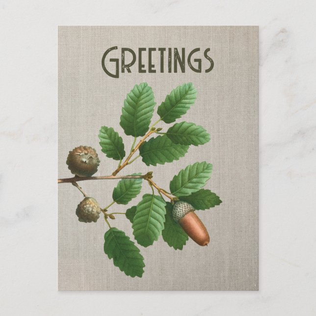 Postal Acorn Oak Leaves (Anverso)