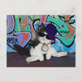 Postal Actitud del gato..................................