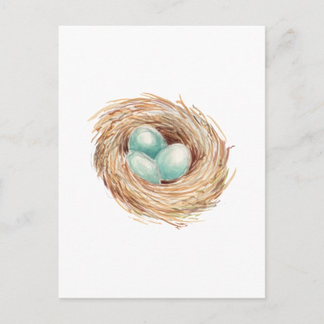 Postal Acuarela azul de Robin's Egg Nest (Anverso)