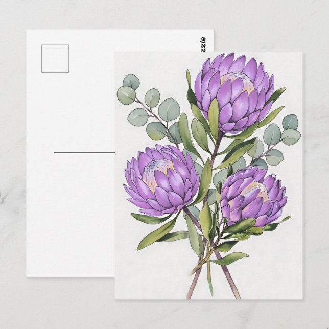 Postal Acuarela Botánica de Protea Lavanda (Anverso / Reverso)