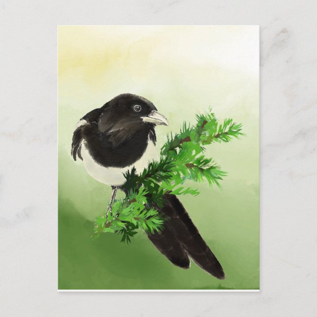 Postal Acuarela Curiosa Magpie Jardín Pájaro Wildife Art (Anverso)