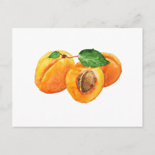 Postal Acuarela de albaricoques de verano