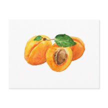 Acuarela de albaricoques de verano