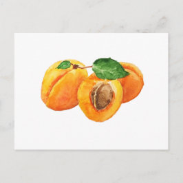 Postal Acuarela de albaricoques de verano
